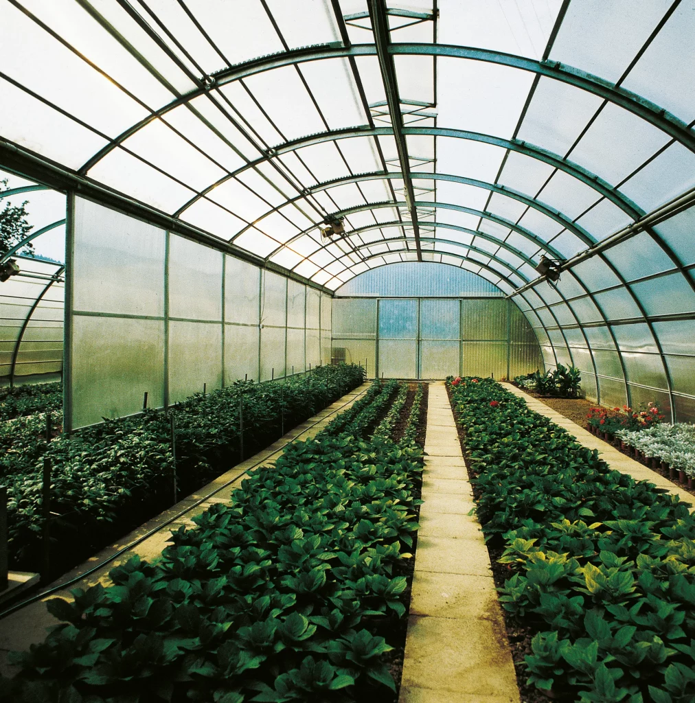 Soluciones innovadoras que transforman el sector Agropecuario🌿