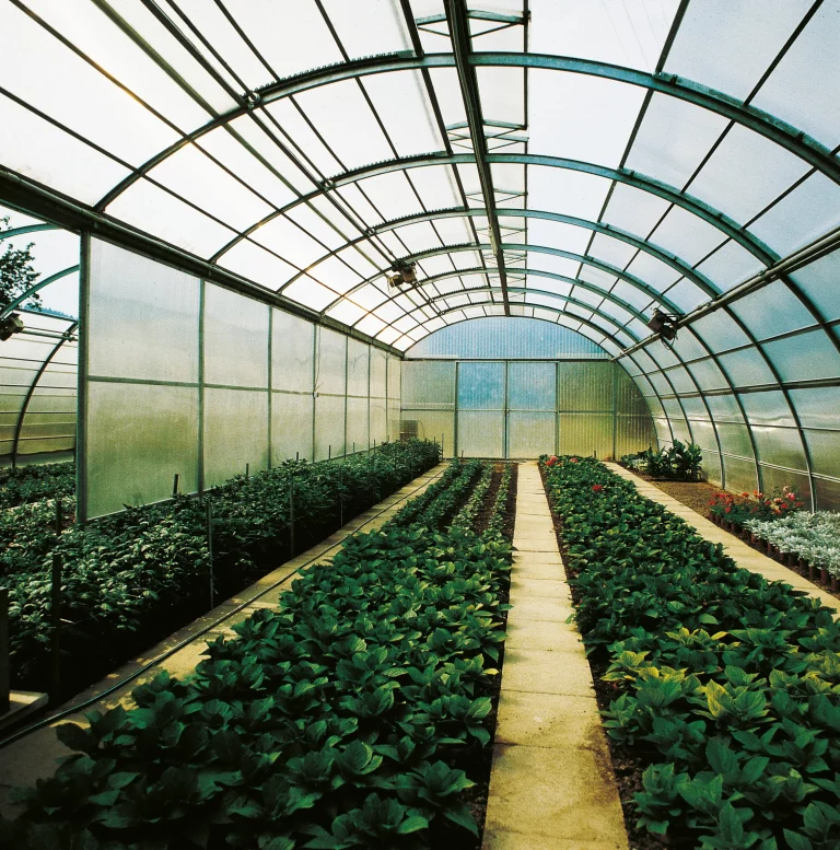 Soluciones innovadoras que transforman el sector Agropecuario🌿